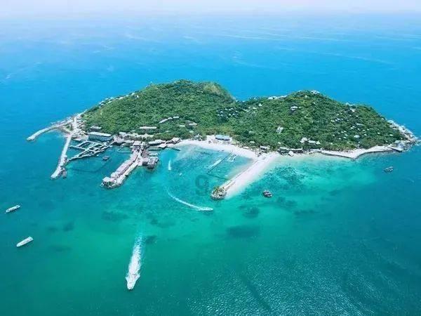 天玑8000和高通骁龙第二代7+哪个好？游戏画面